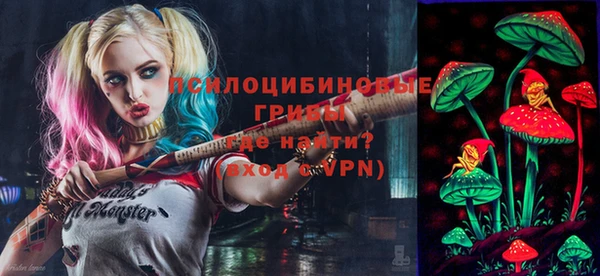 дмт Бронницы