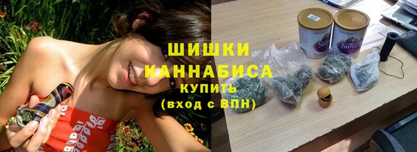 дмт Бронницы