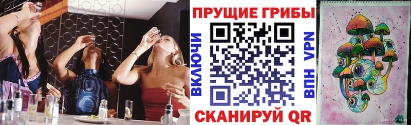 Купить  Наро-Фоминск  Псилоцибиновые грибы ЛСД 