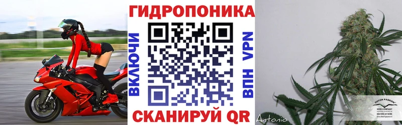 Бошки Шишки ГИДРОПОН  Купить  Наро-Фоминск 